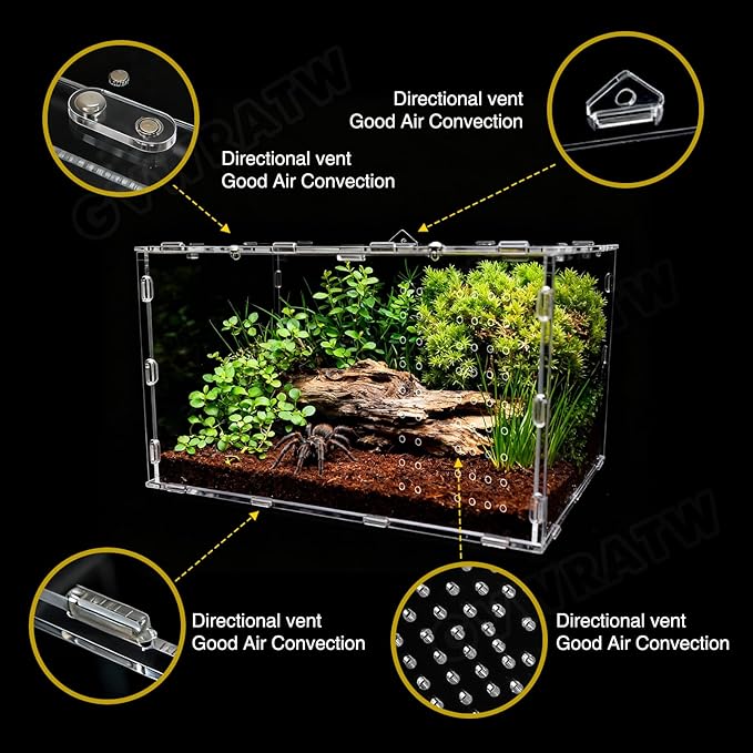 The Ultimate Small Animal Terrarium 7.9" x 5.9" x 11.8": A Versatile Reptile Serving as a Complete Starter Tank for a Wide Range of Species Including Lizards, Geckos, Frogs, Crabs, and Spiders