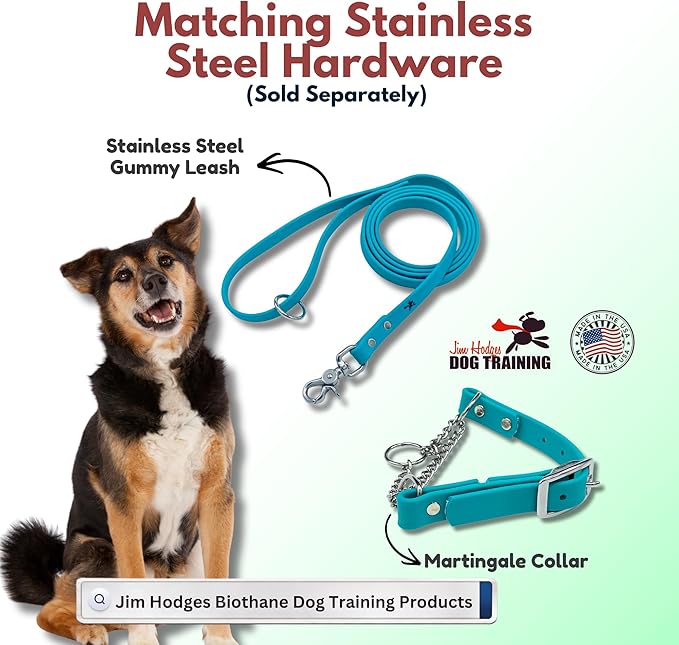 Martingale Collar for Dogs, Biothane, Stainless Steel Hardware, No Pull, Made in The USA, Professional Grade, XS, Teal