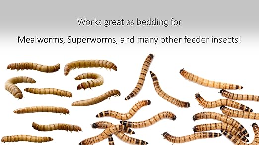 Wheat Bran Bedding & Gutload for Mealworms, Superworms, and Feeder Insects – 3 lb (48 oz) by Five-Star Feeders