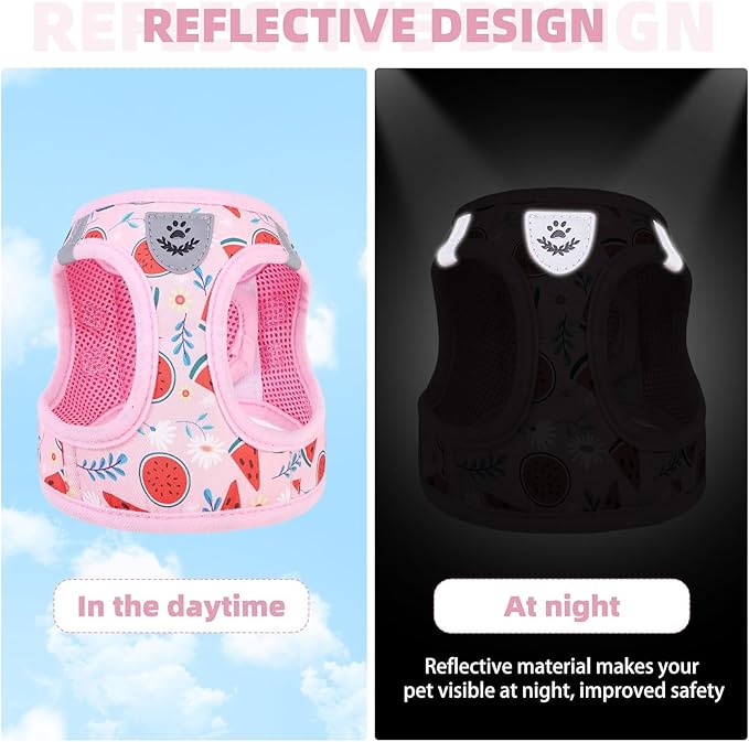 KOOLTAIL Dog Harness and Leash Set for Small Medium Dogs, Step in No Pull Soft Mesh Dog Harness Comfort Padded Pet Vest, Adjustable Reflective Easy Walking Puppy Cats Harness Training, Watermelon XS