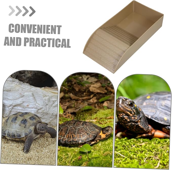 Tortoise Bathing Pool with Ramp Comfortable Soaking Dish for Tortoise Feeding Relaxation Versatile Indoor Outdoor Accessory for Healthy Diet Cleanliness