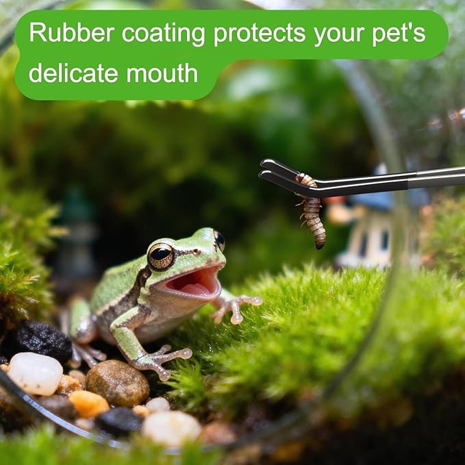 10.6-Inch Straight & Curved Tongs for Bearded Dragons, Lizards, and Aquarium Maintenance