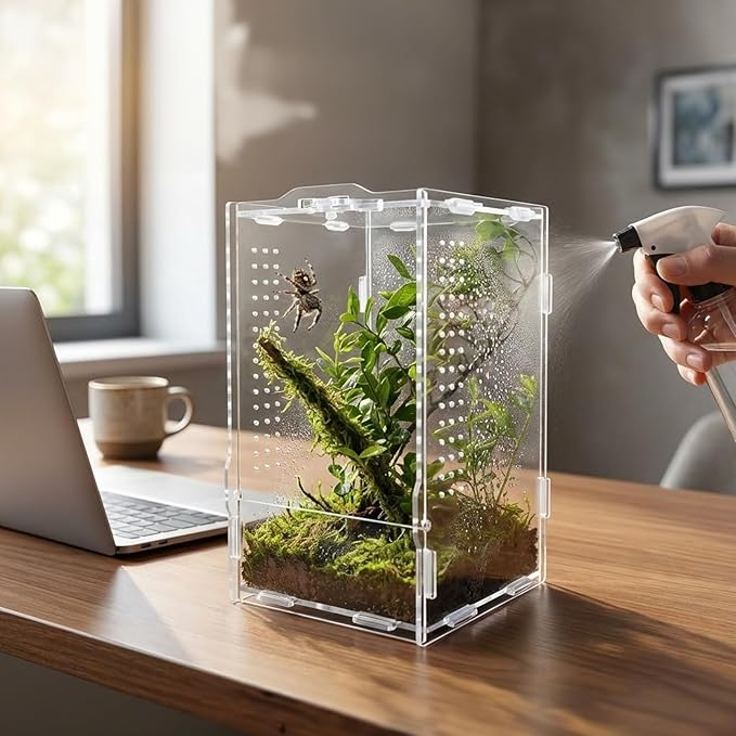 Acrylic Jumping Spider Enclosure: Tarantula Enclosure with Door Lock for Gecko Praying Mantis Snail - Front Opening Arboreal Reptile Terrarium Dual-Side Ventilation Bug Habitat for Desk Decor