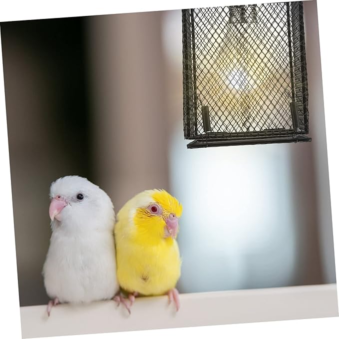 Practical Reptile Heating Lamp Net Cover Metal Lampshade for Reptile Box Lampshade Design