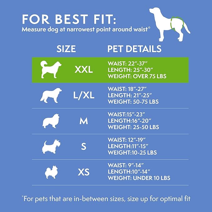 Simple Solution Disposable Female Dog Diapers, Absorbent Leak Proof Protection for Incontinence, Puppy Training, Heat Cycle, Travel, and Housebreaking, XXL Dogs, 22–37 Inch Waist, 12 Count