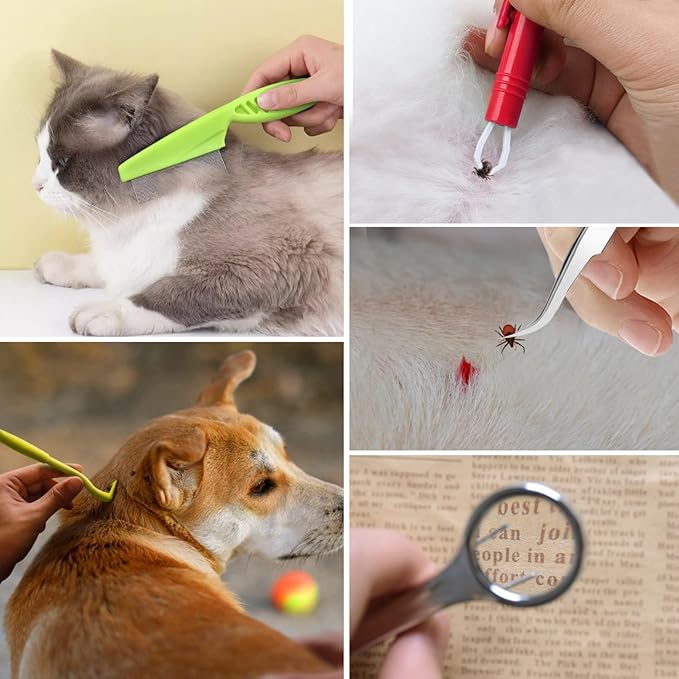 Tick Removal Tool for Dogs, Tick Tweezers Remover Tool Kit Quick Safe Tick Hook Flea Tick Tweezers Flea Comb Magnifying Glass for Dogs Cats