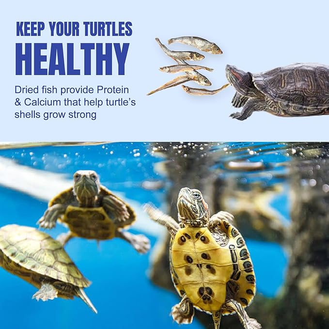 Amzey 3 Pack 0.8Oz (Total 2.4Oz or 68Gram Dried River Fish - Natural Food for Turtles, Terrapins, Reptiles and Large Tropical Fish