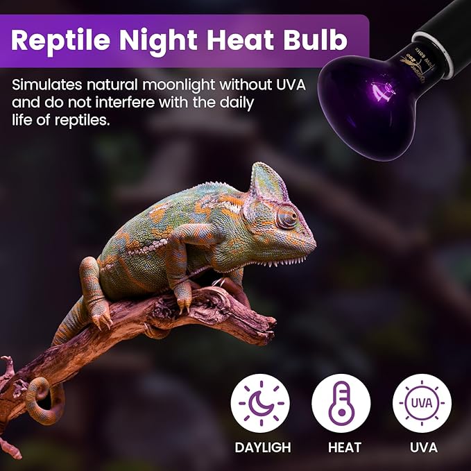 75W Reptile Night Light Bulb – 2-Pack Moonlight Purple Glow, Gentle Heat & UVA for Nocturnal Basking, E26 Base, Perfect for Bearded Dragon, Lizard, Turtle, Chicken