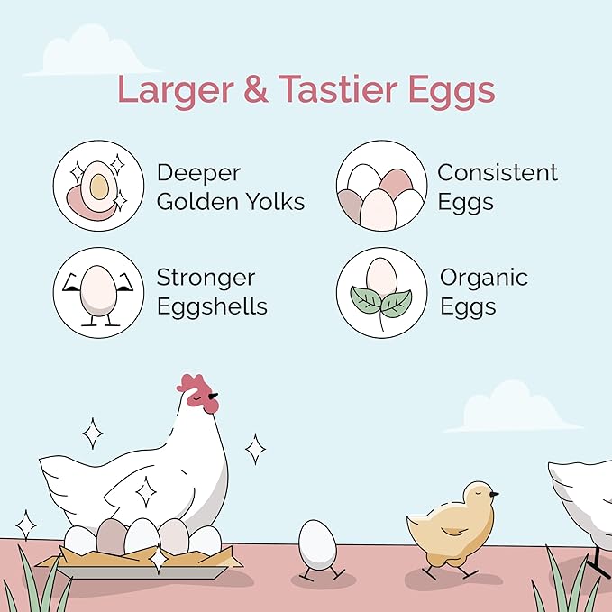 Mile Four Organic Layer Chicken Feed Kit | Feeds 10 Layer (20+ Weeks) Chickens for 4 Weeks | Feed (69 lb), Grit (12 lb), Oyster Shell (16 lb) | Pellet