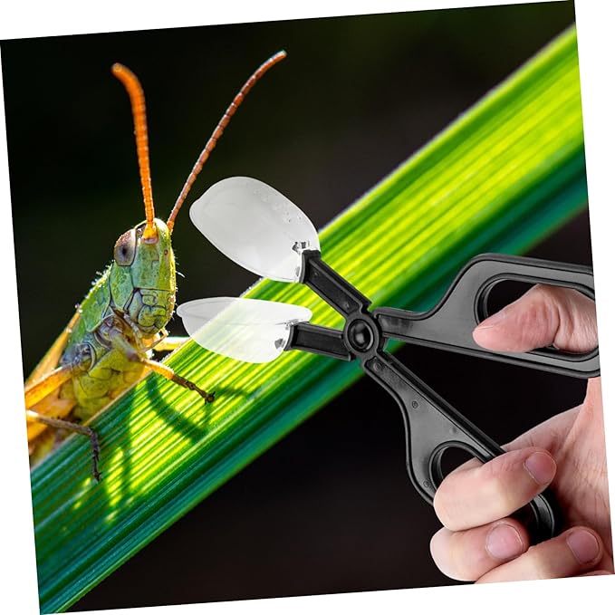 POPETPOP 3pcs Reptile Enclosure Feeding Clamp Lizard Food Clip Material Easy to Use for Tortoise Reptile Care