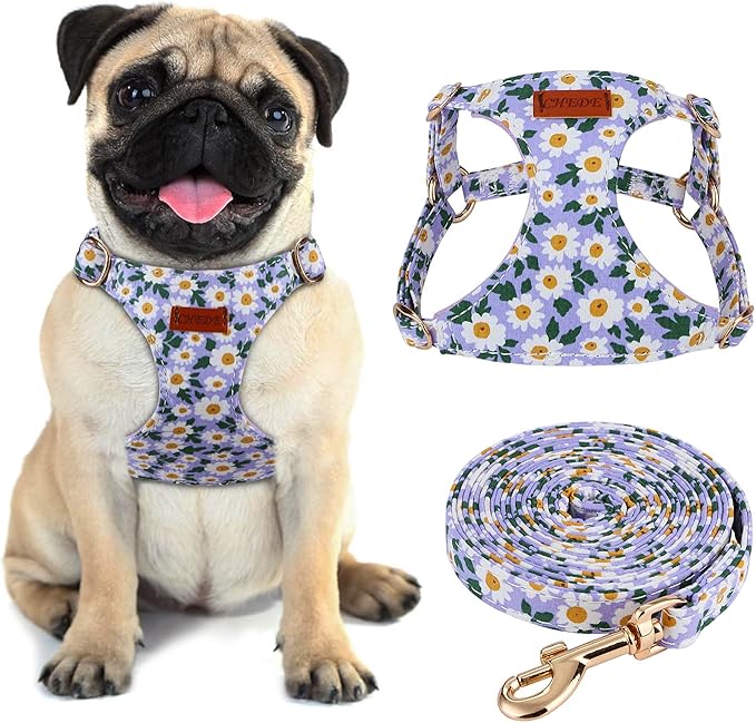 CHEDE No Pull Floral Pattern Dog Harness- Lightweight and Soft Harness, Adjustable Small Dog Harness and Leash Set, with Dog Leash, Suitable for Puppy Small and Medium-Sized Dog (S, Purple Daisy)