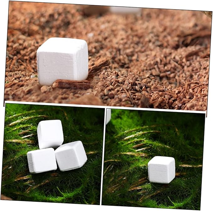TOYANDONA 30Pcs Natural Mineral Calcium Blocks for Reptiles and Amphibians Enhances Turtle Tortoise Lizard Frog and Chameleon Dental Care and Water Quality Stabilization for Growth
