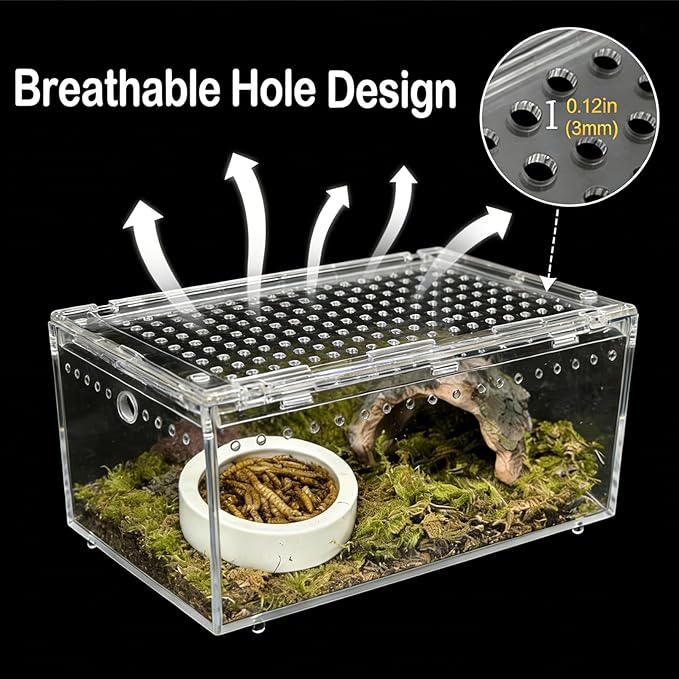 Reptile Terrarium Gecko Tank Tarantula Enclosure Acrylic Spider Terrarium Hermit Crab Tank for Scorpion Insect Isopods Invertebrates Insect (Small)