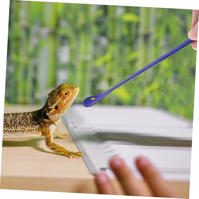 2pcs Reptile Feeding Spoon Long Handle Stainless Steel Pet Food Tools for Lizards Convenient Feeding Supplies for Small Animals Blue