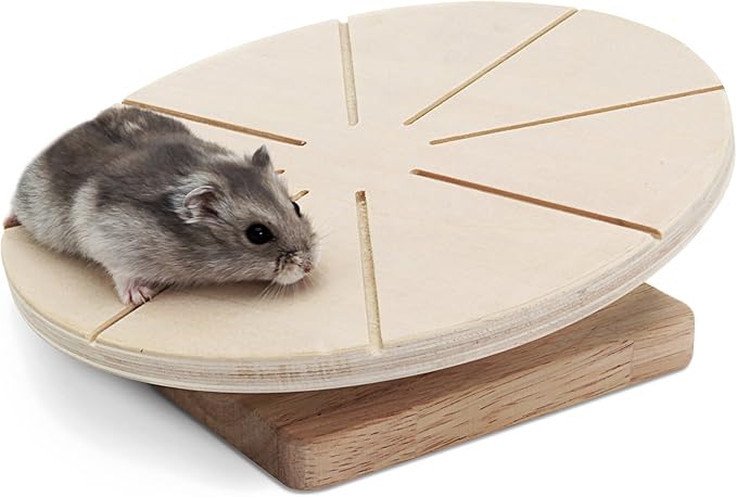 Living World Green Wooden Running Disc for Hamster/Mice/Gerbils