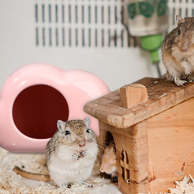 Angoily 2pcs Ceramic Hamster House Cloud Shape Hideout for Guinea Pigs Small Pet Nest