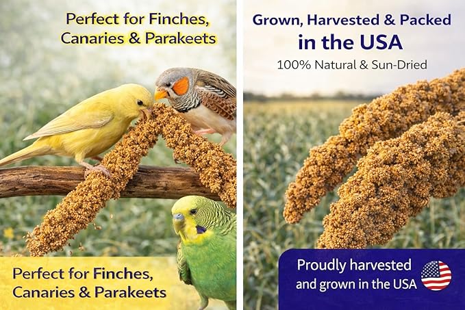 2lbs Wholesome Spray Millet for Birds – Grown, Harvested & Packed in The USA – 100% Natural, Sun‑Dried Bird Treat – Foraging Millet for Parakeets, Cockatiels, Conures, Budgies & Parrots