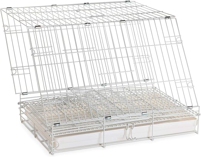 Large Durable Metal Travel or Veterinary Easy Collapsable Parrot Bird Carrier Beaks Proof Carrier Cage Easy Clean Pull Out Tray Stainless Steel Feeder Bowls Natural Wooden Perch