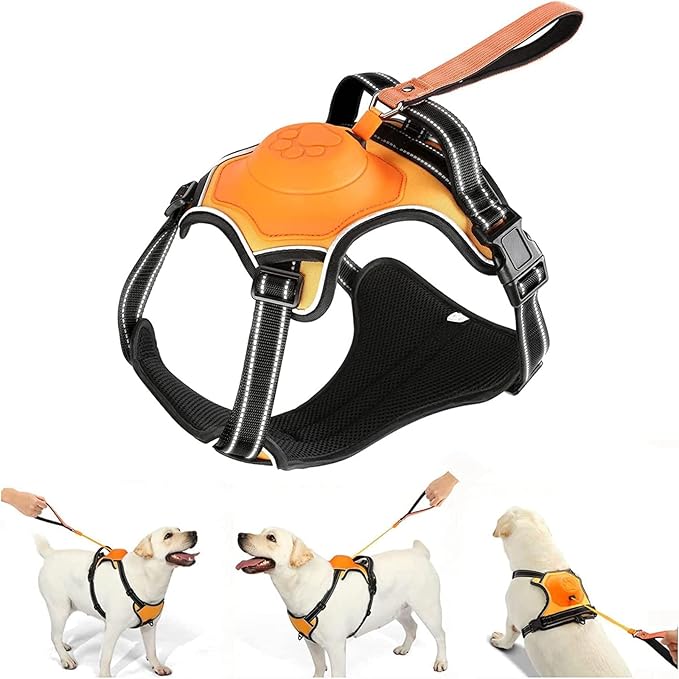 2-in-1 No Pull Dog Harness & Retractable Leash - Large Dog Harness with Auto-Lock, Reflective & Adjustable-XL