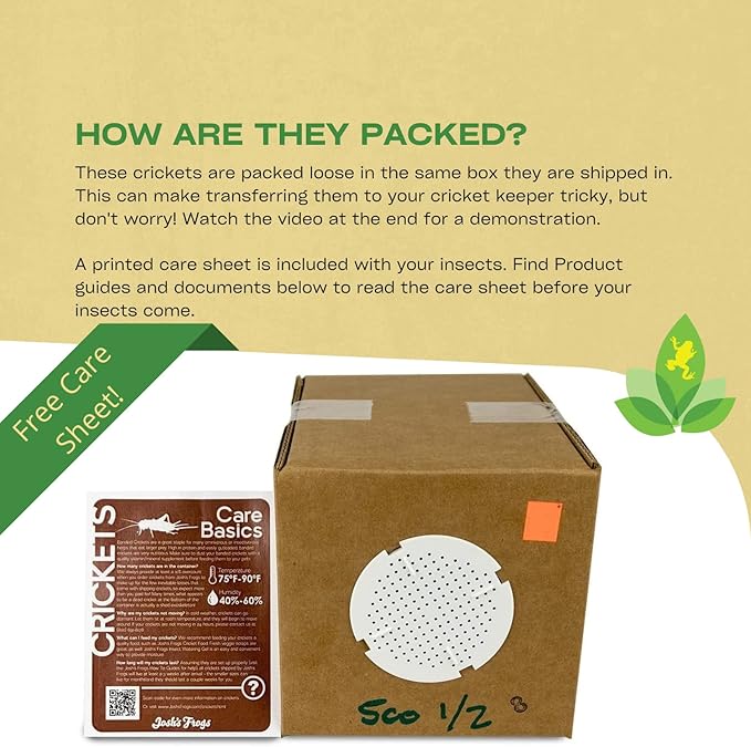 Josh's Frogs 1/2" Banded Crickets (500 Count)
