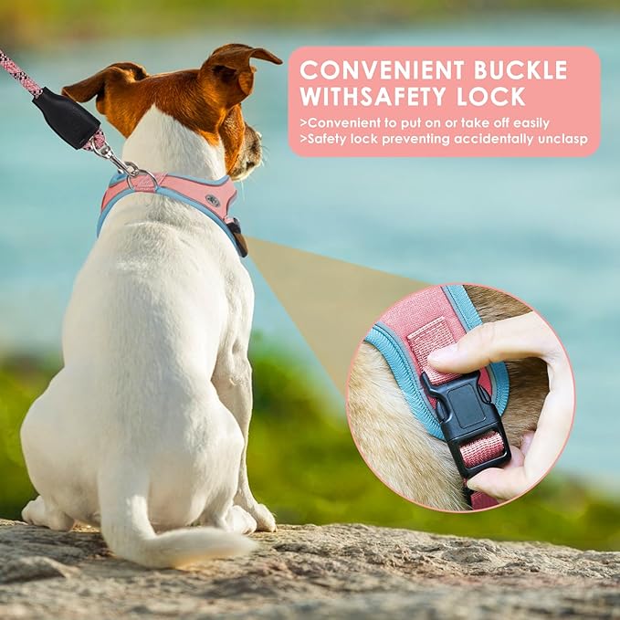 Dog Harness and Leash Set, No Pull Saddle Style Pet Harness, Breathable Mesh Adjustable Reflective Dog Vest for Dogs and Cat Medium Small Harness 2 D-Rings (Pink, M)
