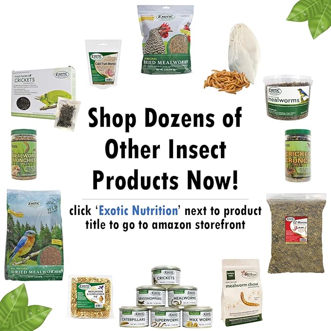Dried Crickets (2.2 lb.) - High Protein Insect Treat - Chickens, Wild Birds, Hedgehogs, Bluebirds, Reptiles, Sugar Gliders, Opossums, Skunks, Lizards, Bearded Dragons, Fish, Amphibians, Turtles