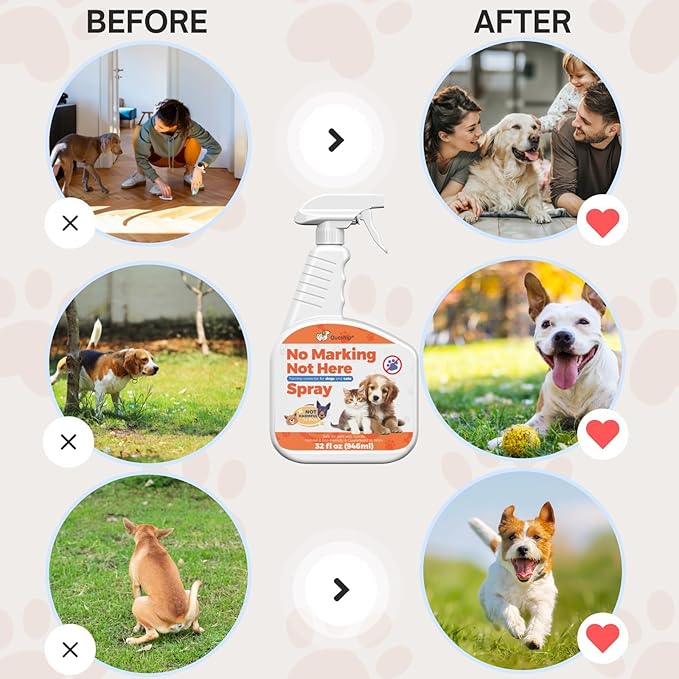 Qucship 32oz No Pee Spray for Dogs Inside, Stop Dog Urinating in House with No More Peeing, Indoor Dog No Marking Spray for Furniture & Carpet, Best Don't Pee Here Dogs Right