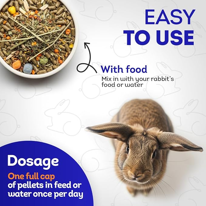 HealthyAnimals4Ever HA4E - Rabbit Respiratory Treatment - Support for Snuffles, URI & Breathing Relief - Preventive Care - Natural Homeopathic Tablets - 300 Count