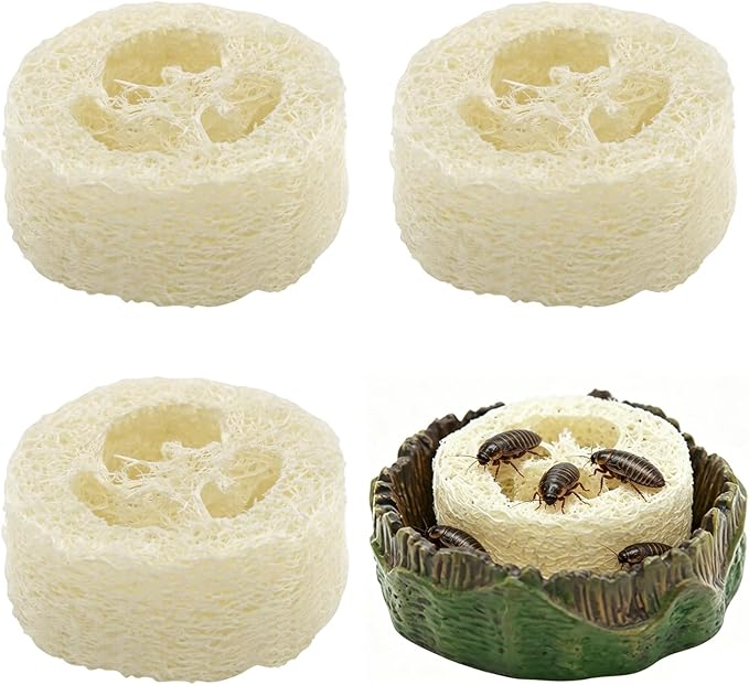 Cockroach Water Basin & 3 Loofah Set, Dubia Roaches Live Habitat Reptile Container Supplies for Terrariums & Enclosures, Comfortable Habitat for Roaches Live, Isopods, Springtails, Crickets