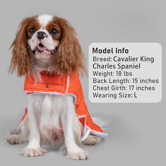 KYEESE Dog Coat Warm Pet Winter Puffer Coat with Leash Hole Waterproof Dogs Jacket with Fleece Lined Windproof Dog Coats for Small Dogs Thick Pets Clothes with Pocket Soft Pet Sweater for Cold Weather