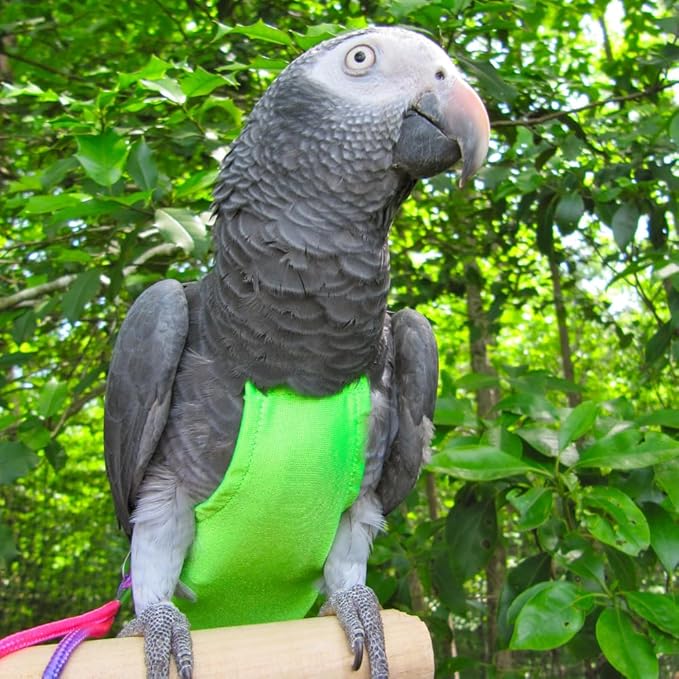 Avian Fashions FeatherWear FlightSuit X-Small(2) Bird Diaper in Lime Green