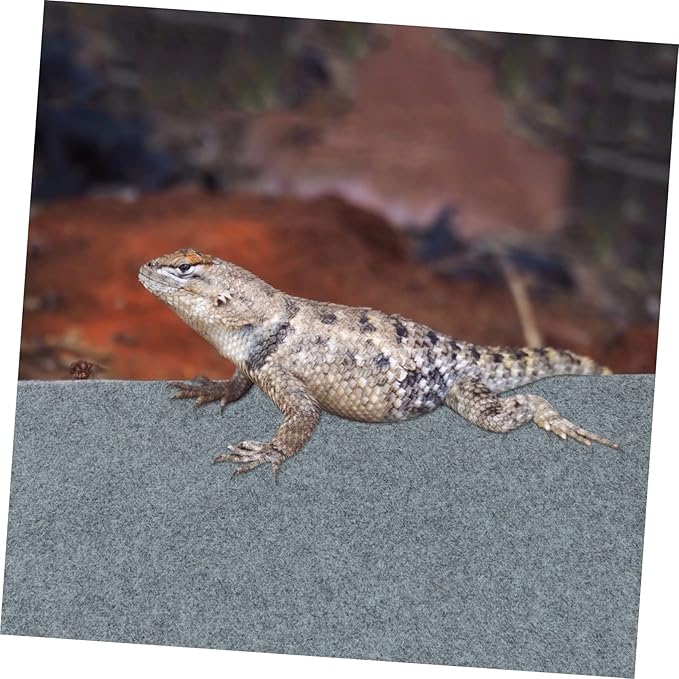 Terrarium Liner for Reptiles Water-Absorbent Carpet Mat for Pet Cages Suitable for Tortoise Lizard Snake Bedding Reptile Substrate