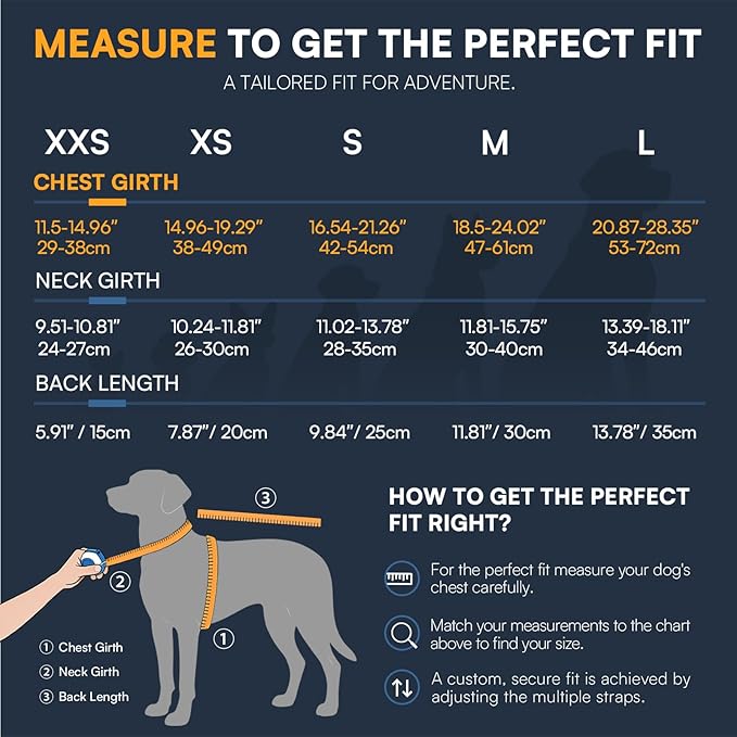 Queenmore Small Dog Shark Life Jacket, Small Dog Life Vest for Swimming and Boating, Lightweight Dog Life Preserver with Rescue Handle/Leash Hook/Reflective Strips