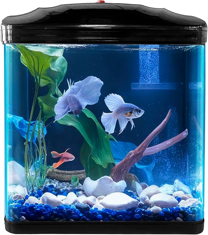Small Fish Tank 2 Gallon Glass Aquarium Starter Kits,Betta Fish Tank with Filter and Plant Light for Betta Shrimp Guppy Jellyfish Goldfish Beta, Room Desktop Decor, Gifts