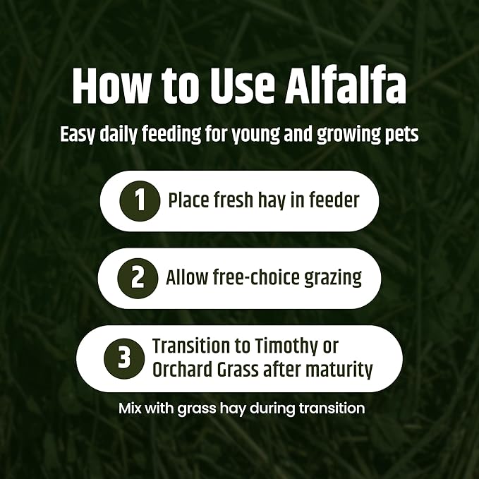 High Desert Alfalfa Hay, Protein Rich Soft Leaf Food for Young Growing Animals, Natural Rabbit Food and Guinea Pig Hay, Supports Digestive Health, Small Pet Supplies, Fresh Hand Packed 10 Lb Box