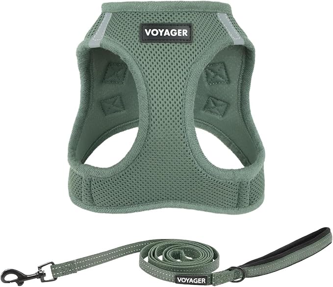 Best Pet Supplies Voyager Step-in Air All Weather Mesh Harness and Reflective Dog 5ft Leash Combo with Neoprene Handle, for Small, Medium and Large Breed Puppies - Set (Moss Green), Large