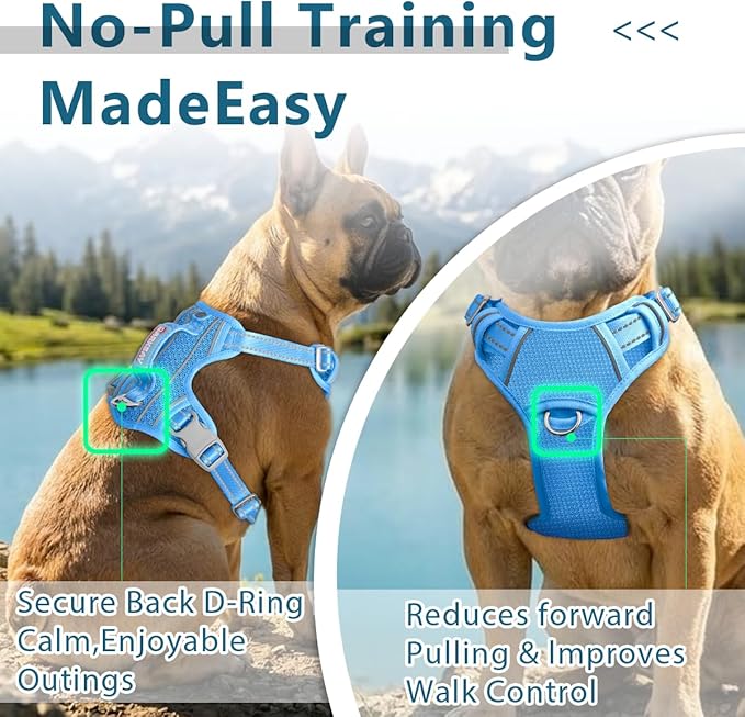 BARKBAY Dog Harness No Pull with ID Tag Pocket - Heavy Duty, Reflective, Easy Control for Large Dogs(Blue,XL)
