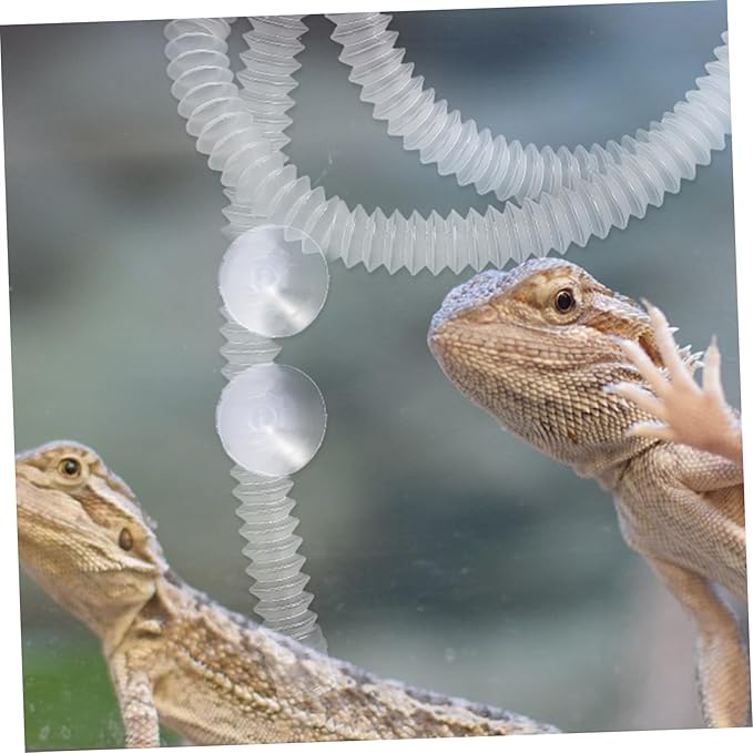 WOONEKY 1set Reptile Humidifier Extension Hose Cup Flexible and Tube for Reptile Tanks Suitable for Amphibians and Containers Easy to Install and Safe Materials
