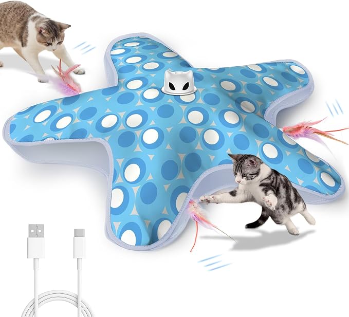 Interactive Cat Toys for Indoor Cats with Moving Concealed Feathers by Unknown