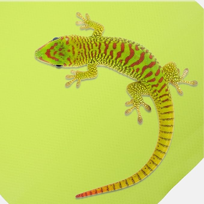 Toyvian Washable Reptile Carpet Mat Substrate Liner for Leopard Gecko Bearded Dragon Tortoise Tank Bedding Non-Adhesive Terrarium Flooring for Snake Lizard Habitat