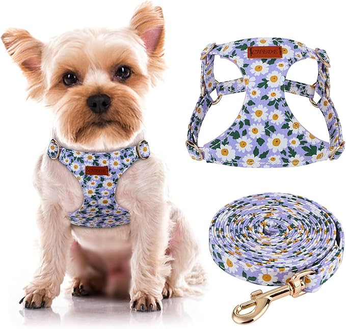 CHEDE No Pull Floral Pattern Dog Harness- Lightweight and Soft Harness, Adjustable Small Dog Harness and Leash Set, with Dog Leash, Suitable for Puppy Small and Medium-Sized Dog (XS, Purple Daisy)