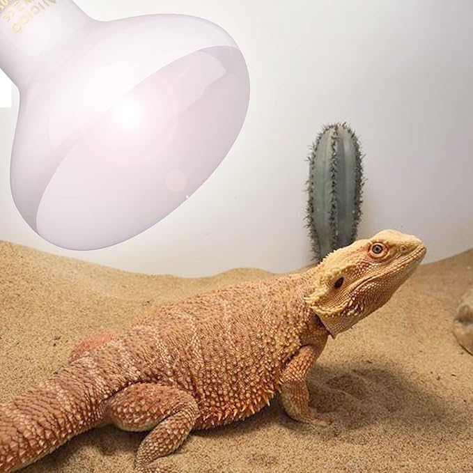 Aiicioo Reptile Basking Light Bulb - 150 Watt Heat Light Bulb 4 Pack for Reptile Heat Lamp Bulb for Bearded Dragon Lizard Turtle Tortoise Daylight Basking