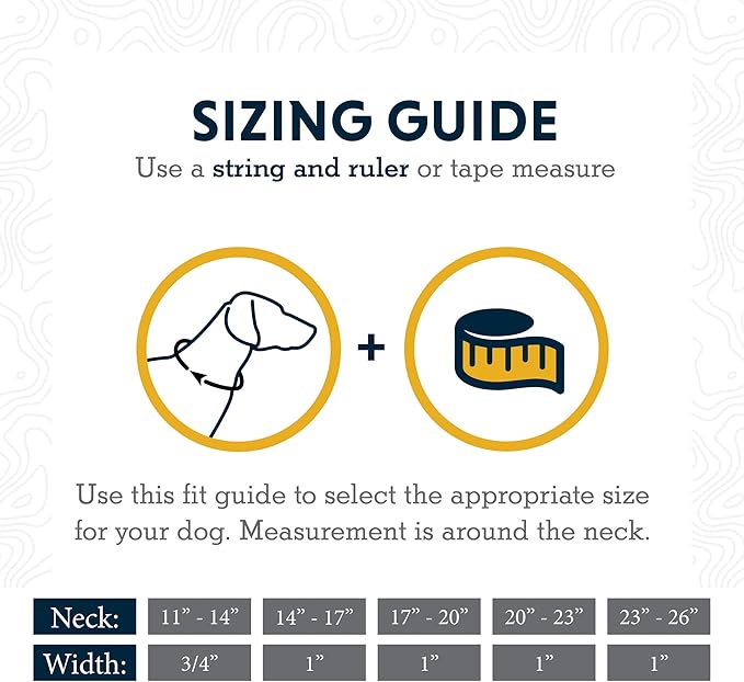 Ruffwear, Web Reaction Dog Collar, Escape-Proof Security Buckle, Adjustable Anti-Slip Martingale Collar with Durable Nylon Tubelok Webbing & Silent ID Attachment, Granite Gray, 23"-26"