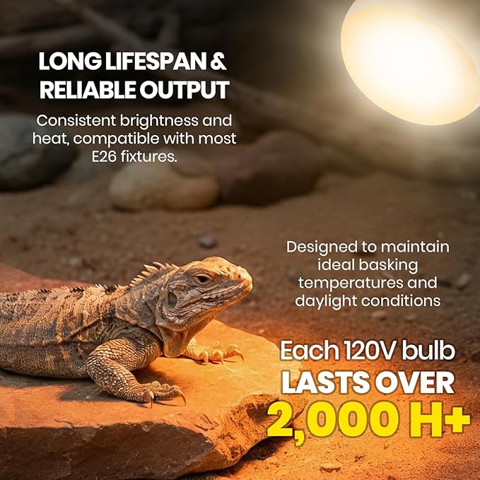 CALPALMY 4-Pack 150W Reptile Heat Lamp Bulb, UVA Daylight Basking Light for Reptiles, Bearded Dragon, Lizard, Turtle, Snake, Tortoise, Chicken – Flat Bottom Design, Long Lifespan, 120V E26 Base