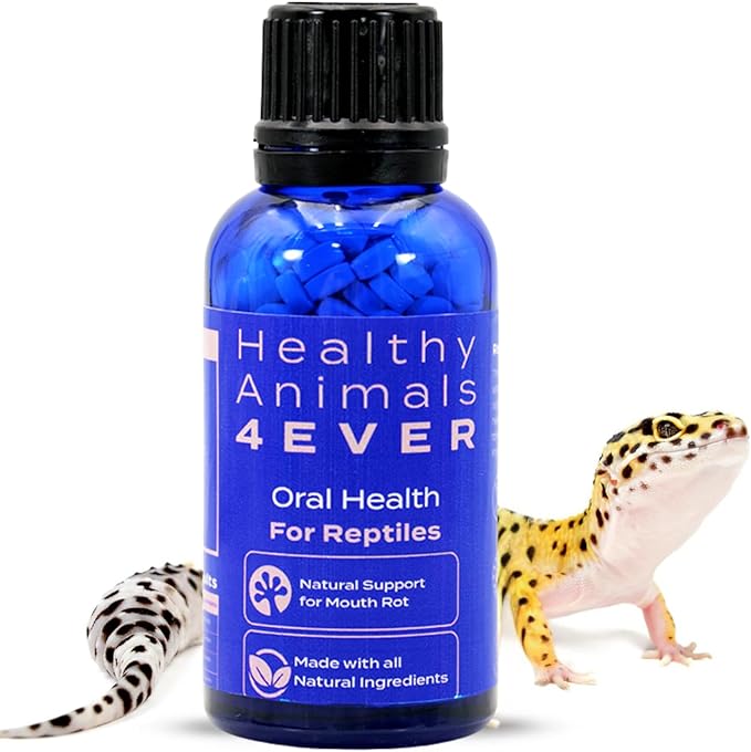 HealthyAnimals4Ever HA4E - Reptile Oral Health Support - Natural Mouth Rot Relief & Oral Hygiene Formula - Supports Gum Health, Comfort & Healing - 300 Tablets