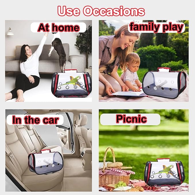 Bird Carrier Travel Cage, Small Bird Carrier, Portable Transparent Carrier Cage Pet Hamster Breathable Out Bag Suitcase for Parakeet, Parrot, Cockatiel, Guinea Pig for Hiking (Size : Small)