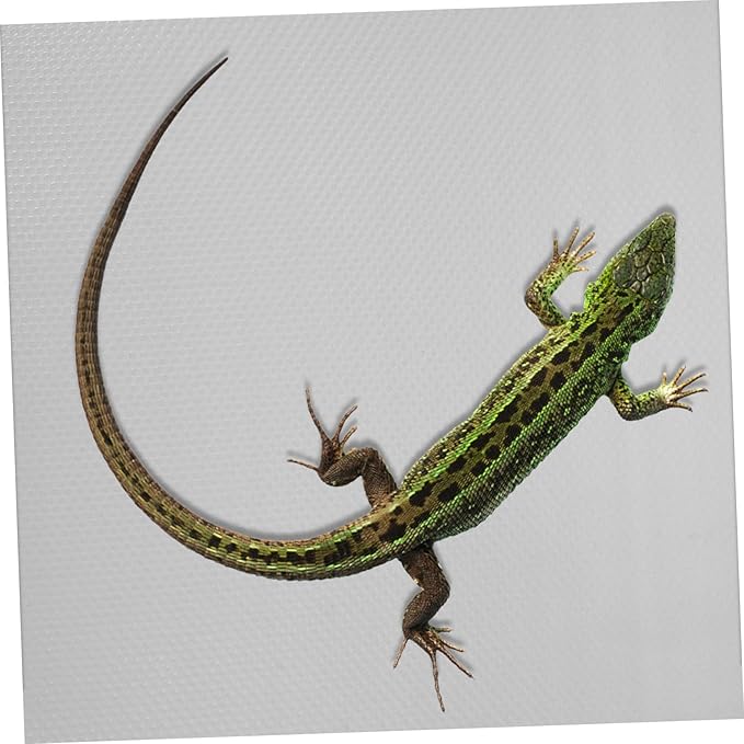 Reptile Carpet Liner Mat for Turtle Snake Lizard and Bearded Dragon Terrarium Non-Slip Cage Substrate Protects from Wetness and Scratches Easy-Maintain Floor Covering for Reptile