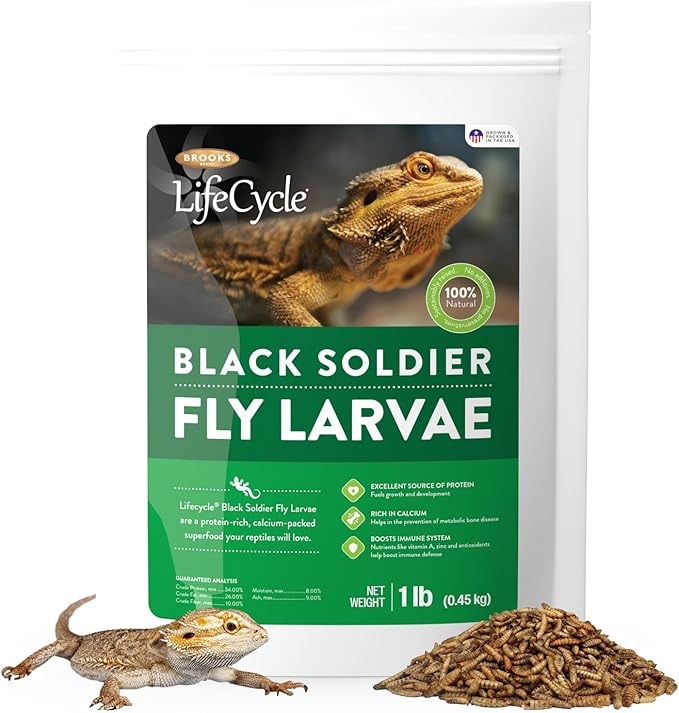 Black Soldier Fly Larvae, Bearded Dragon Food, Bugs for Reptiles, Worms for Geckos, Insect Protein, Baby Bearded Dragon Food, Made in USA (1 Pound (Pack of 1))