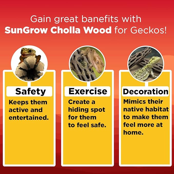 SunGrow Leopard Gecko Cholla Wood, 5 Inches Long, Create Basking Spot, Artistic Home-Decor, Lizards and Bearded Dragons, 6-Pack