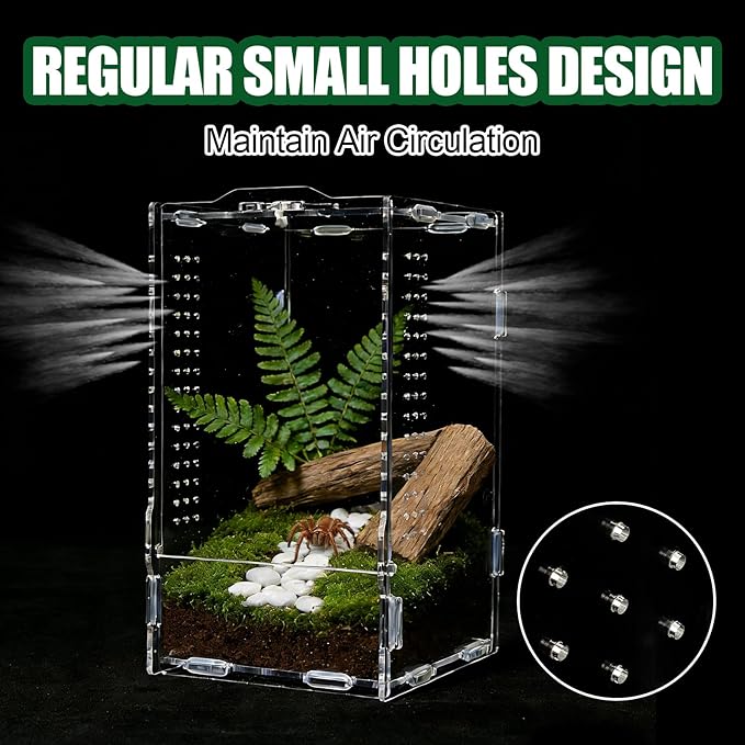 Transparent Jumping Spider Enclosure, Acrylic Reptile Terrarium Enclosure, Small Reptiles Habitat Tank Breeding Box for Tarantula Insect (Large)